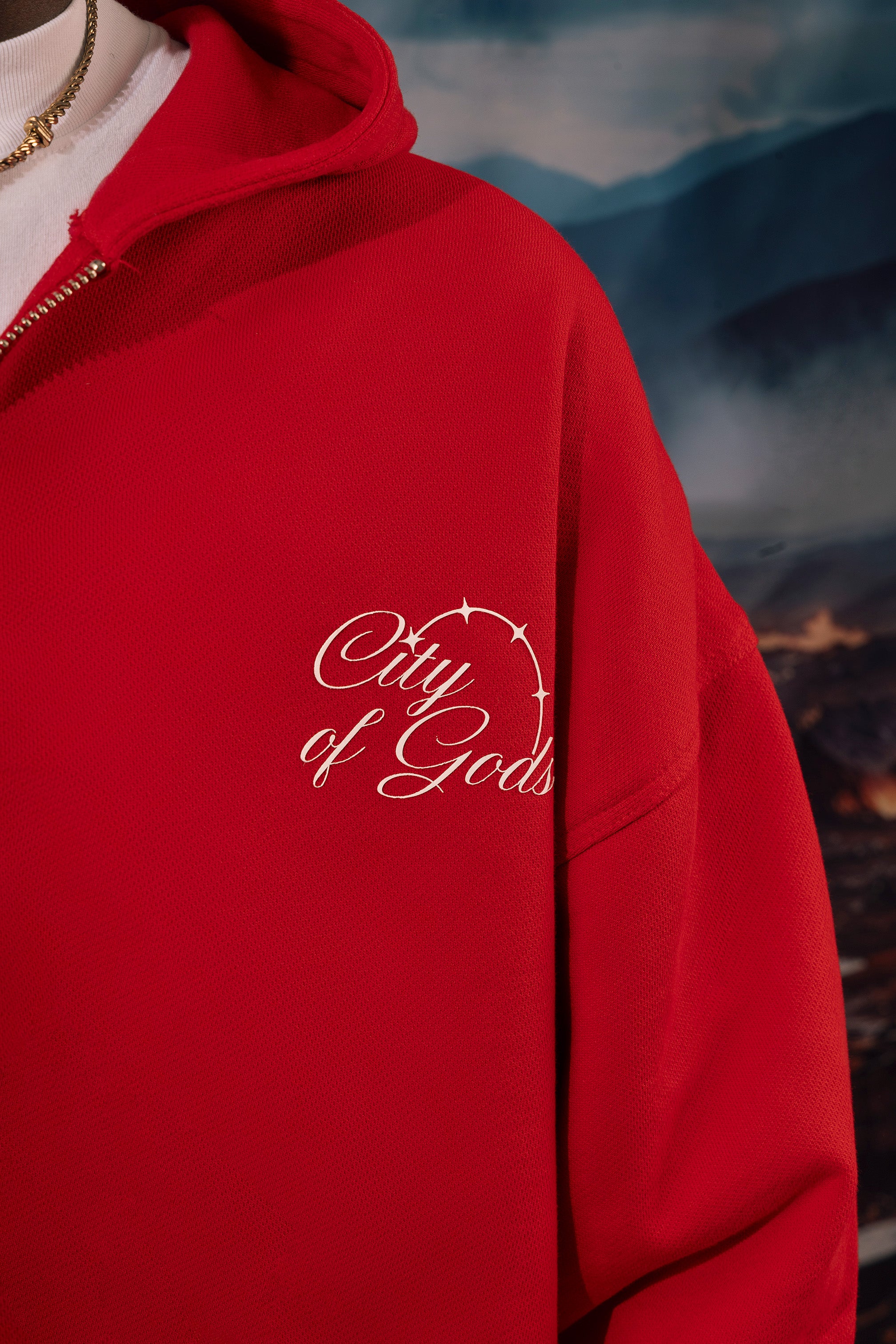COG Zip hoodie