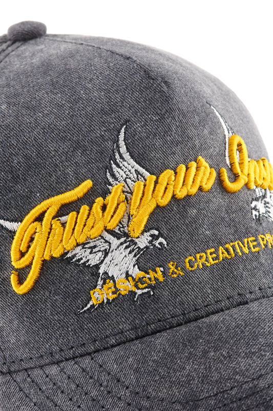 Gorra Instinct vintage washed.